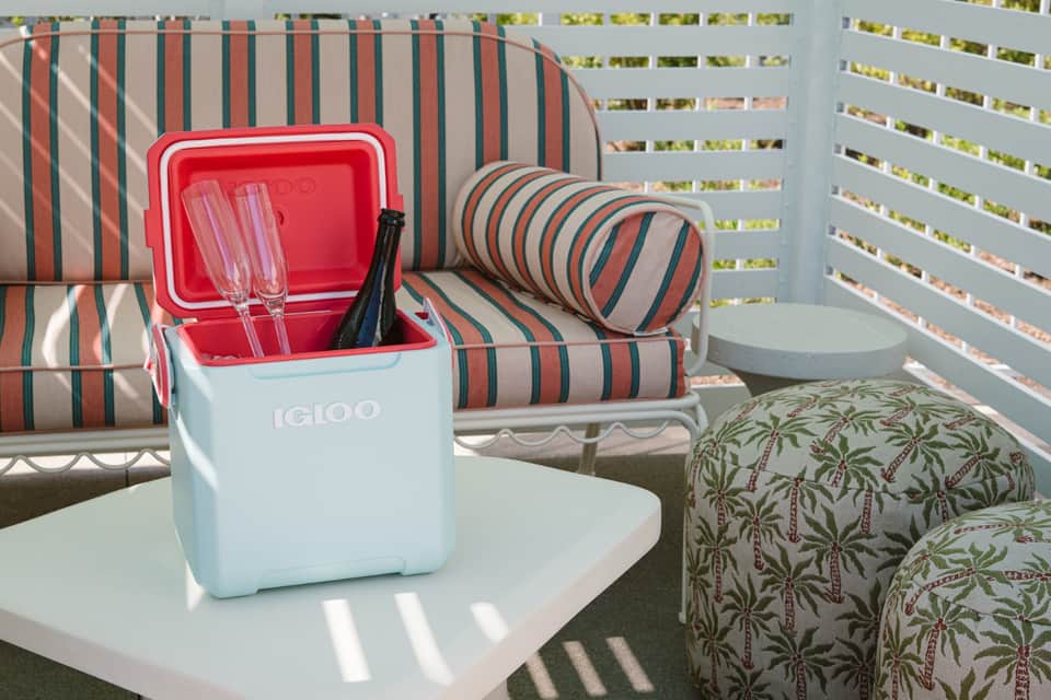 Striped lounge chair with red and gray cushions, cooler, and palm tree privacy screen