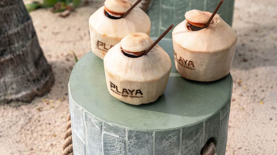 Three fresh young coconuts with straws branded with 'PLAYA' on a green circular stand