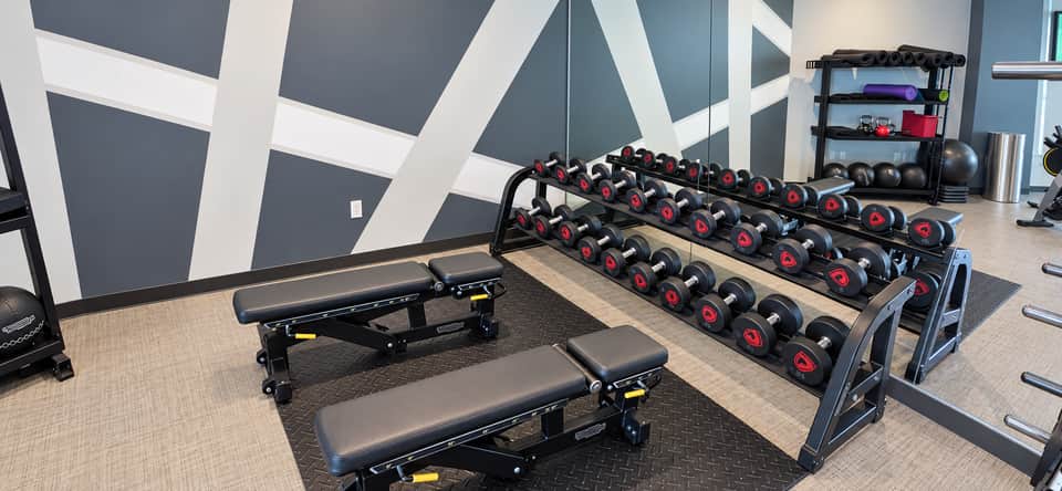 Free weights section with dumbbell rack and adjustable benches in contemporary fitness facility