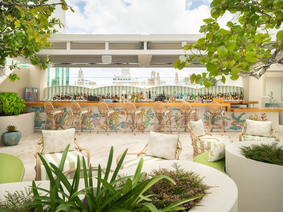 Rooftop bar with decorative chairs, potted plants, and city skyline view with striped awning backdrop