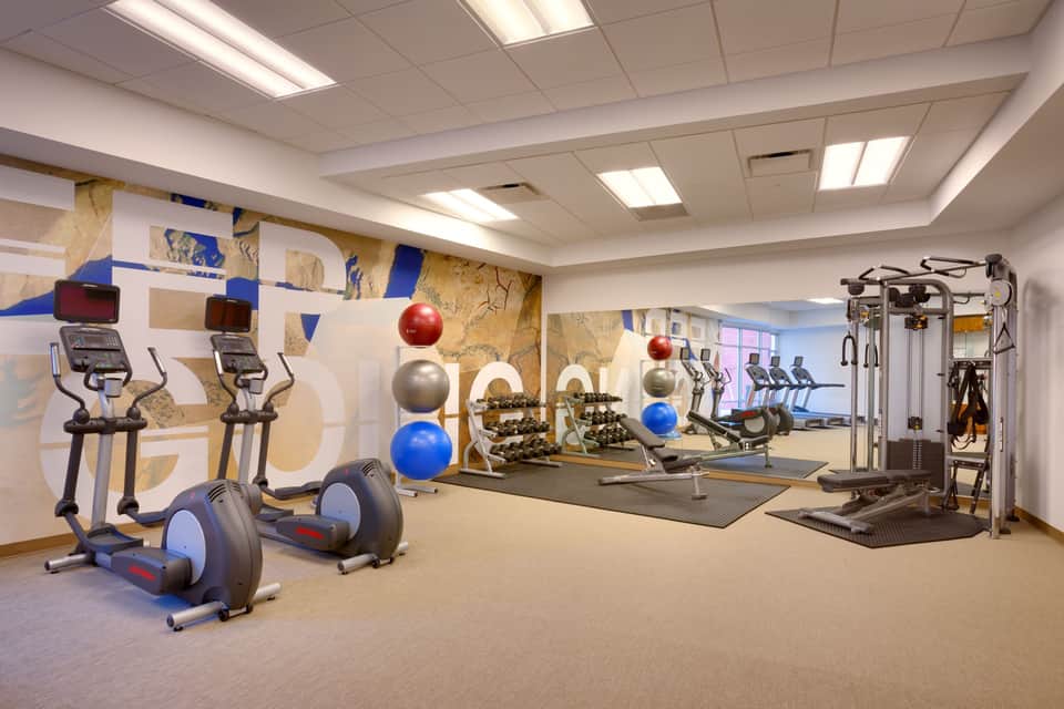 Modern hotel fitness center with cardio equipment, dumbbells, and exercise balls