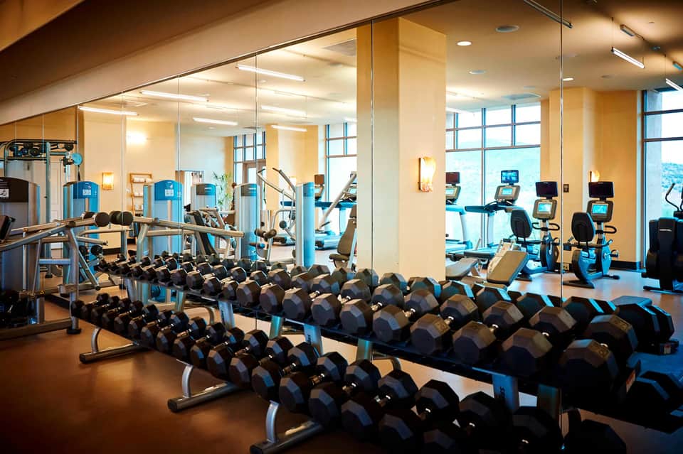 Modern gym with dumbbell racks, cardio equipment, mirrored walls, and panoramic windows