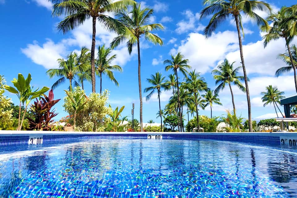 Resort swimming pool with blue mosaic tiles surrounded by tall palm trees and tropical vegetation under clear sky