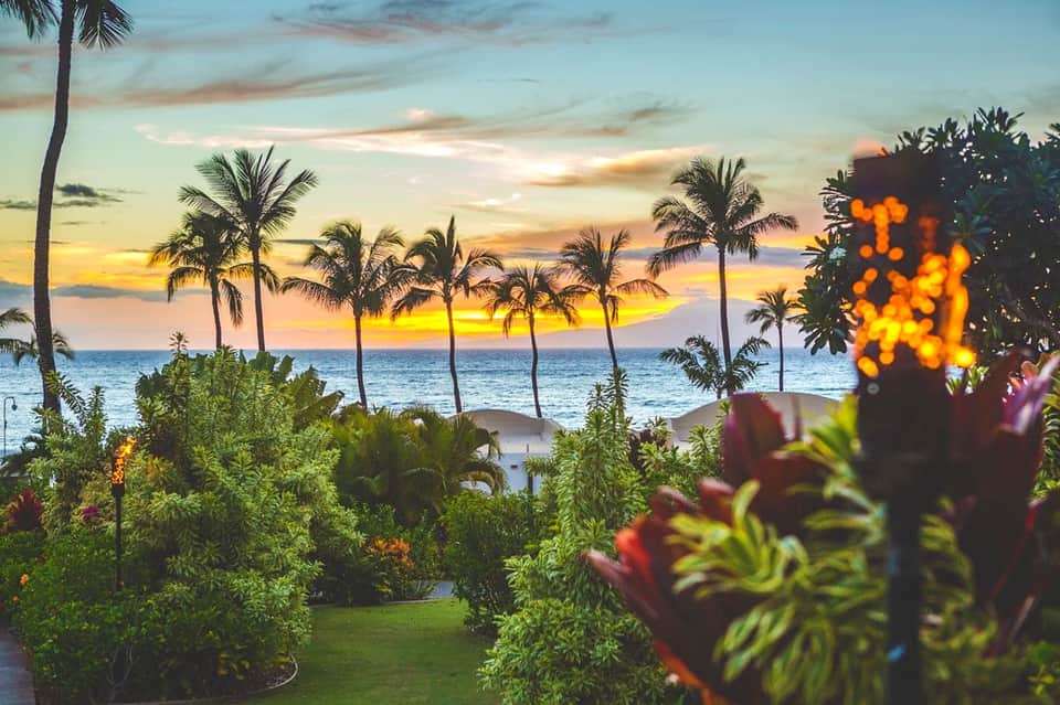 Tropical sunset over ocean with palm trees, colorful flowers, and golden sky above the water