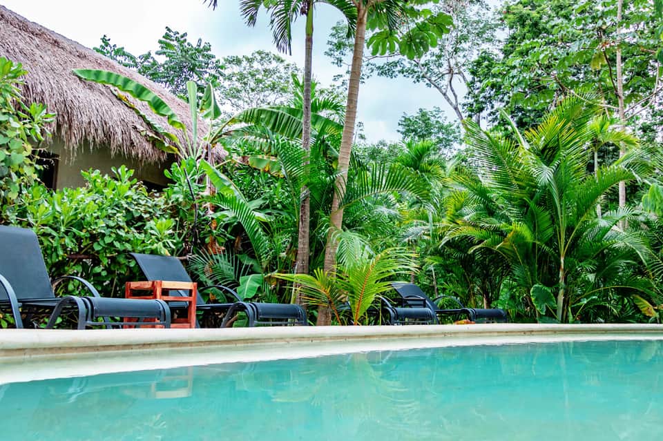 Tropical pool surrounded by lush palm trees and thatched-roof buildings