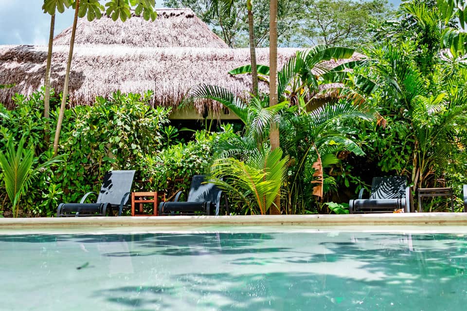Tropical resort pool with thatched-roof bungalow, lush vegetation, and lounge chairs