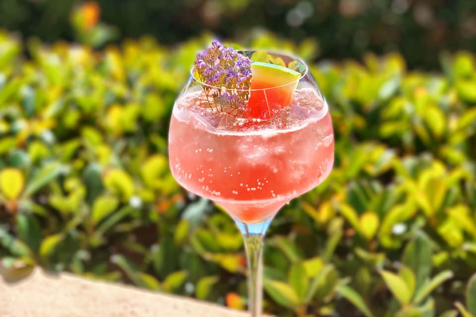 Coral-colored cocktail with purple flower garnish in garden setting