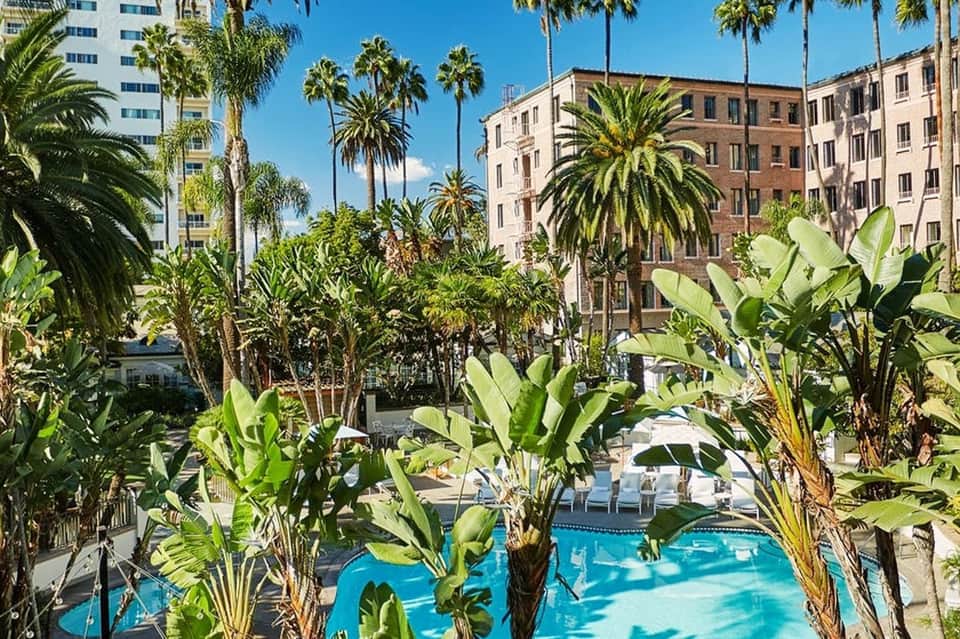 Aerial view of a resort pool surrounded by palm trees and historic architecture in an urban setting
