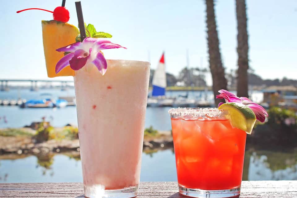 Two tropical cocktails with pink and red drinks, fresh flowers, and waterfront backdrop