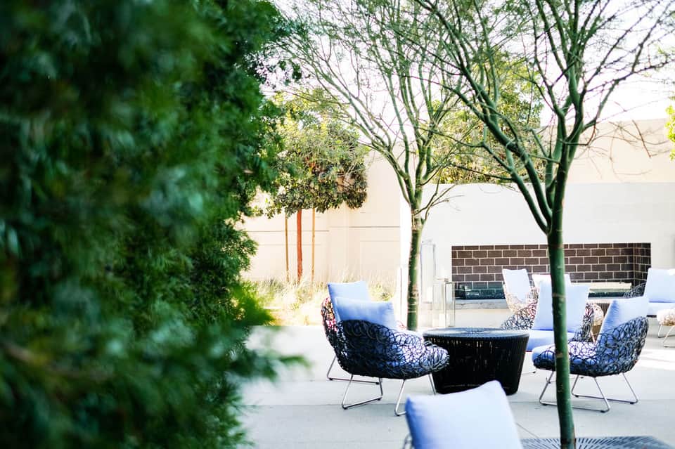 Outdoor patio seating area with woven black chairs, blue cushions, and decorative trees