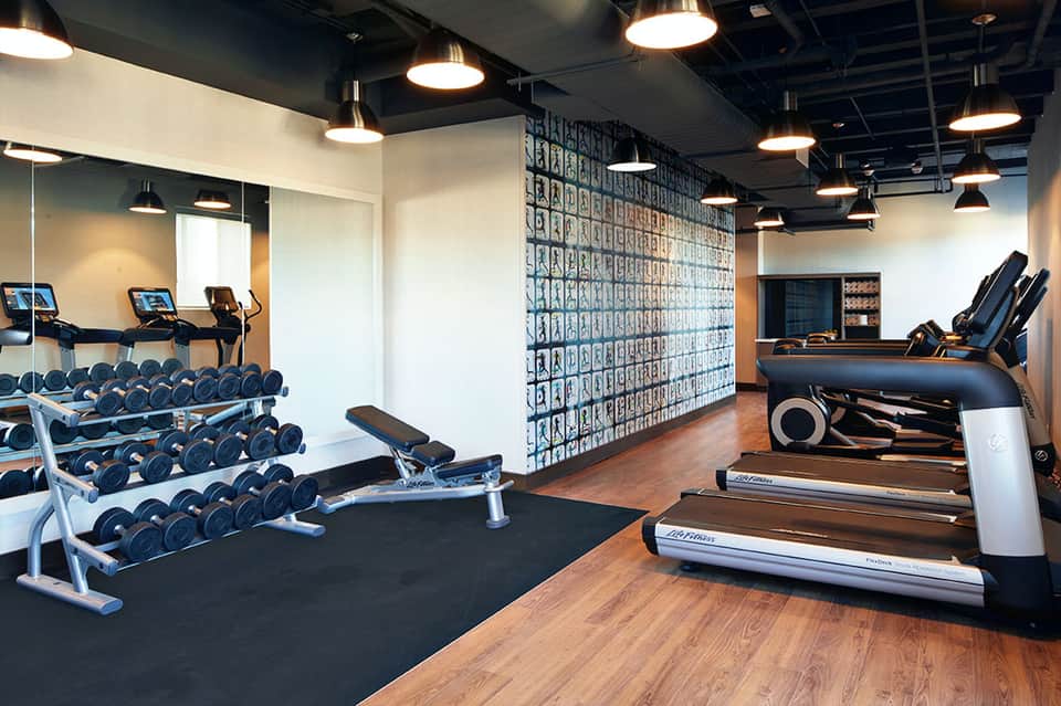 Modern gym interior with dumbbell racks, treadmills, exercise bikes, and decorative wall panel