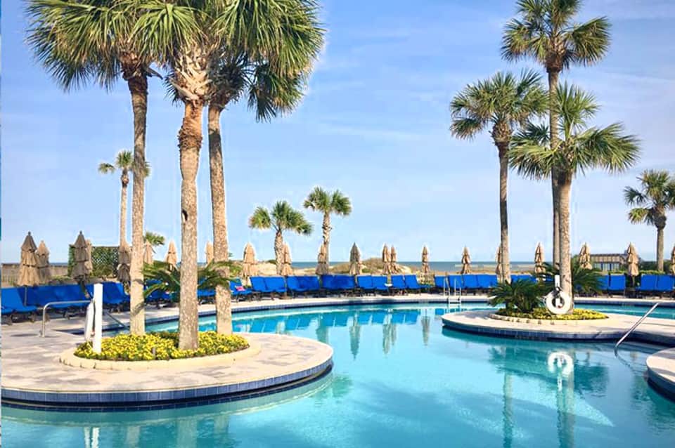 Tropical resort pool with palm trees, blue lounge chairs, and ocean view in background