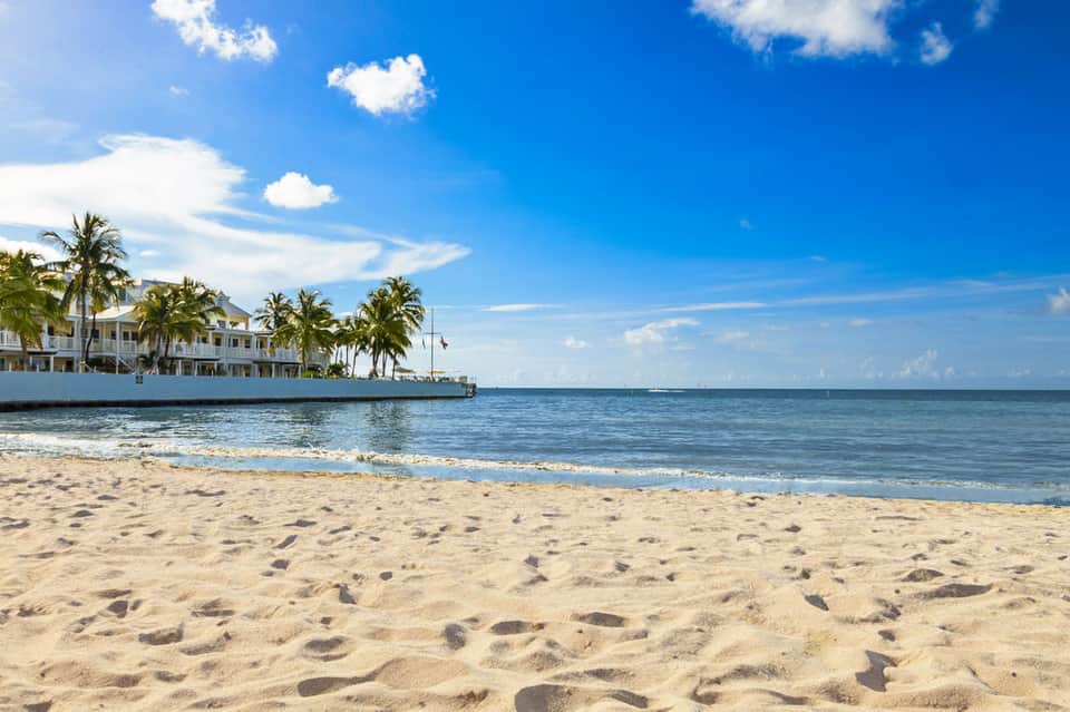 Sandy beach with palm trees, ocean, and waterfront buildings under blue sky