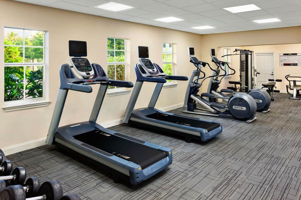 Modern fitness center with treadmills, elliptical machines, dumbbells, and large windows overlooking greenery