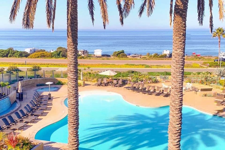 Curved swimming pool with palm trees overlooking the ocean and coastal landscape