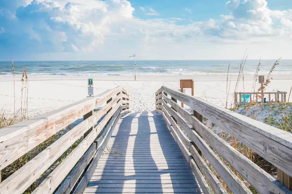 Wooden beach boardwalk with dune grasses leading to sandy shore and ocean waves