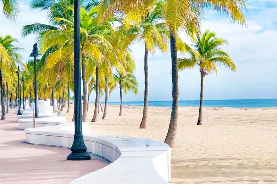 Palm tree-lined beachfront promenade with white curved seating and calm sandy beach