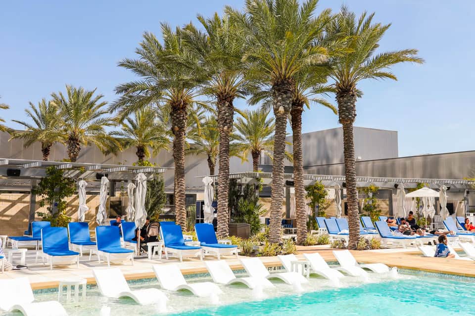 Resort pool deck with blue lounge chairs, tall palm trees, and modern architecture