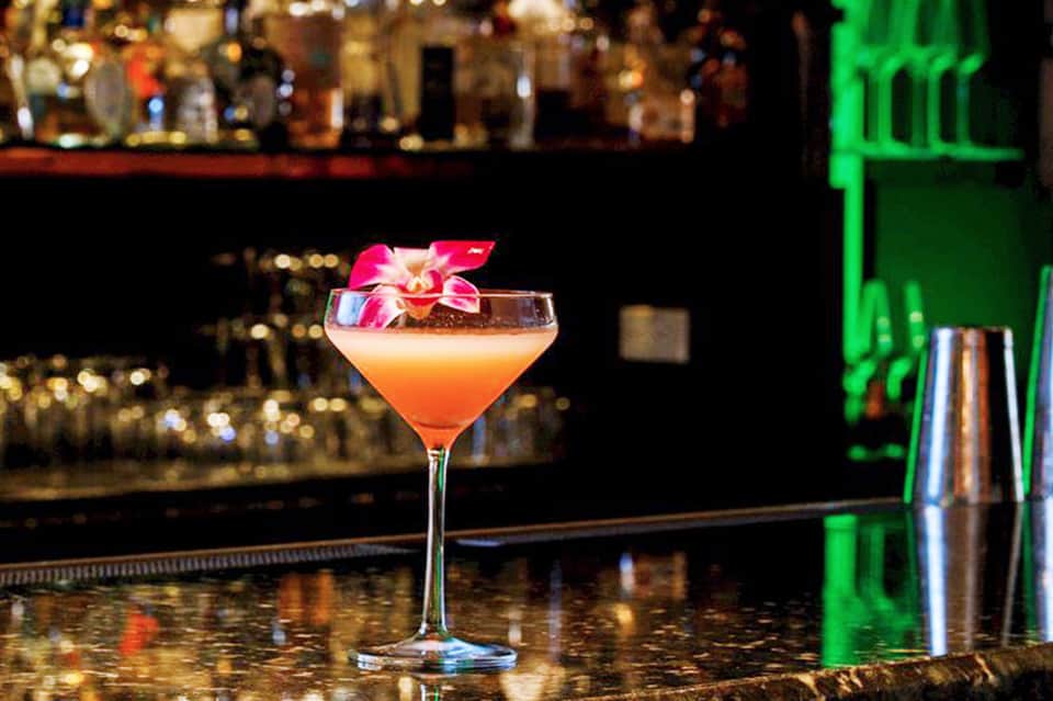 Craft cocktail with pink flower garnish served at modern bar with neon green accents