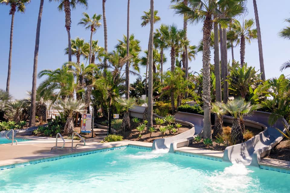 Resort pool surrounded by tall palm trees with lounge chairs and clear blue water