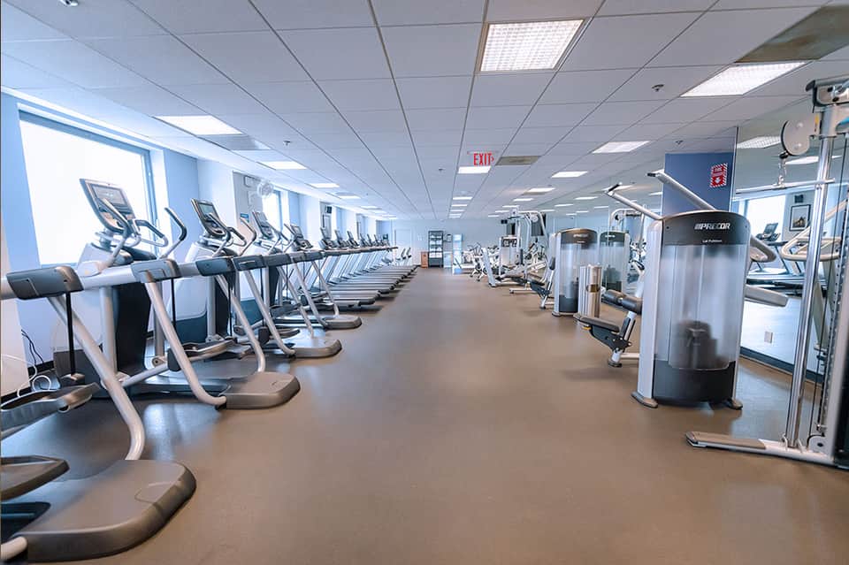 Modern fitness center with rows of cardio equipment and strength training machines