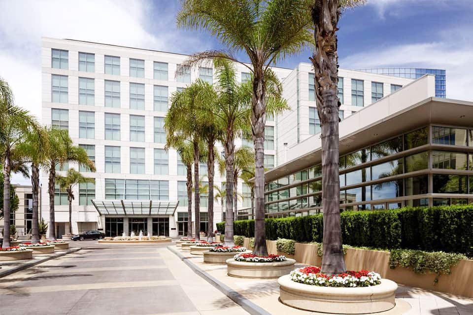 Modern hotel entrance with palm trees, white facade, and manicured landscaping