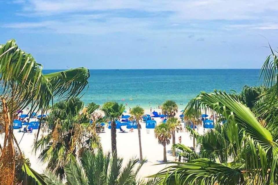 Beachfront view with palm trees, white sand, blue umbrellas, and turquoise ocean water