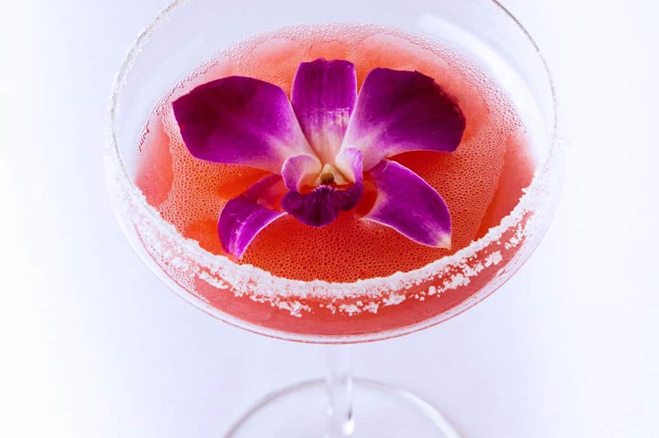 Purple orchid flower floating in a coral-colored cocktail with salt rim in a martini glass