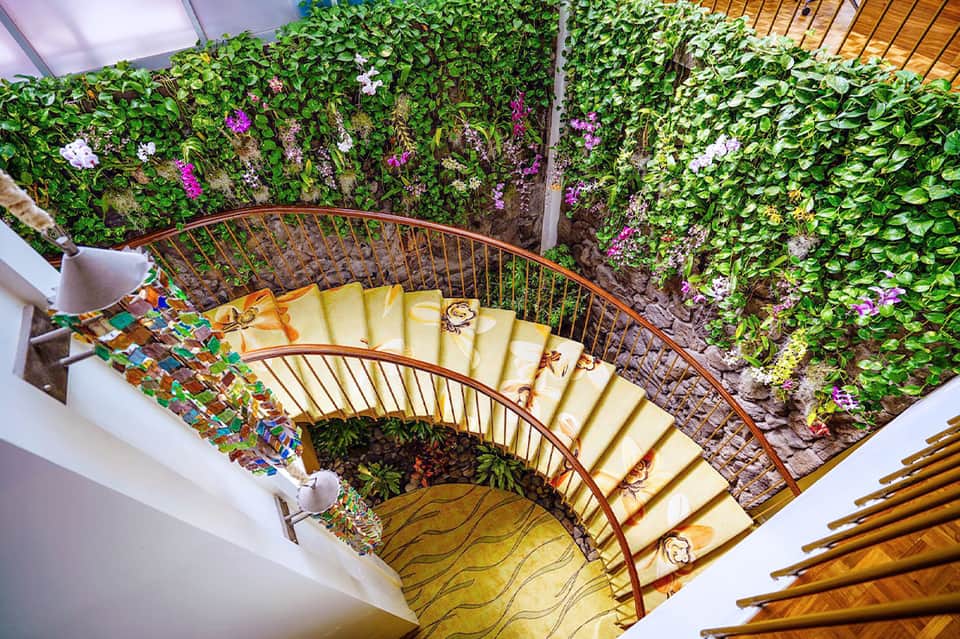 Spiral staircase with climbing ivy and purple flowers viewed from above with yellow ceiling panels