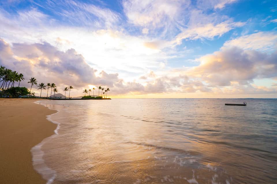 Tropical beach at sunset with palm trees, sandy shore, and calm ocean waters