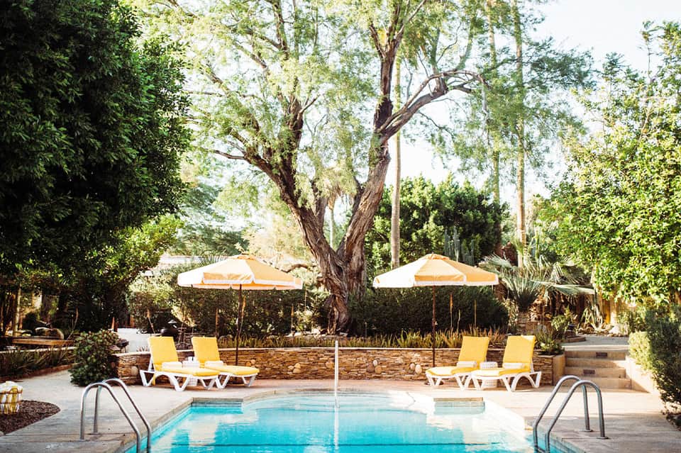 Resort pool area with yellow loungers, white umbrellas, and mature trees providing shade