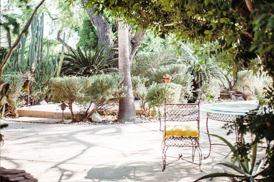 Desert garden patio with vintage metal chair, cacti, and palm trees in dappled sunlight