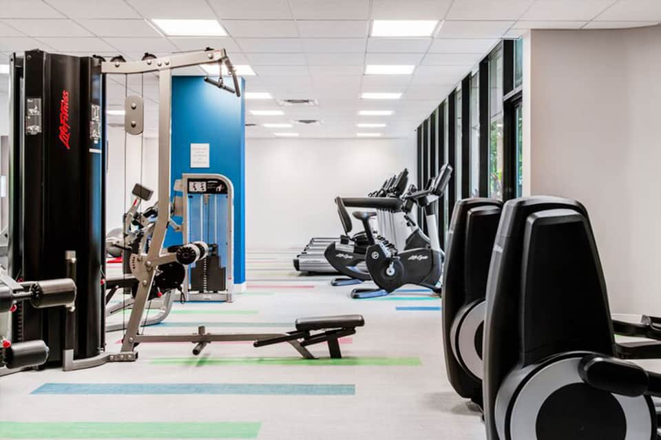 Modern gym with cardio machines, weight equipment, and colorful floor mats