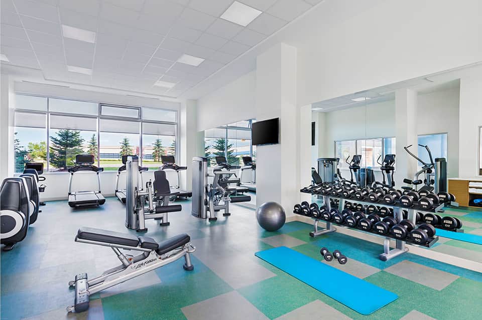 Modern gym facility with cardio equipment, weights, dumbbells, and large windows