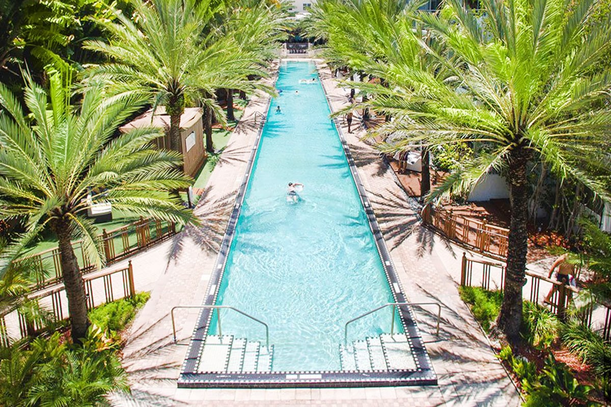 Overhead view of the long infinity-edge pool at National Hotel Miami Beach, lined with palm trees