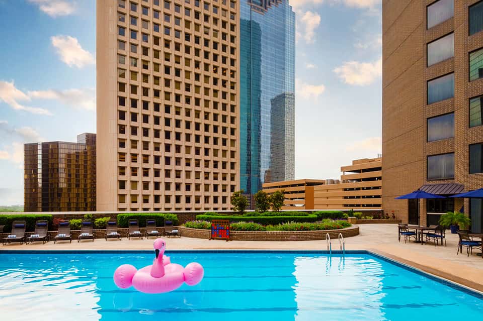 Urban rooftop pool with pink flamingo float and downtown city skyline view