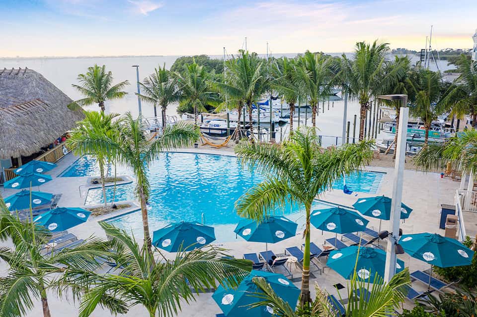 Aerial view of resort pool with blue umbrellas, palm trees, and waterfront marina with boats