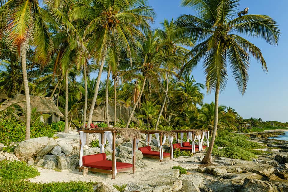 Beachfront lounge with wooden cabanas, red cushions, palm trees, and ocean view