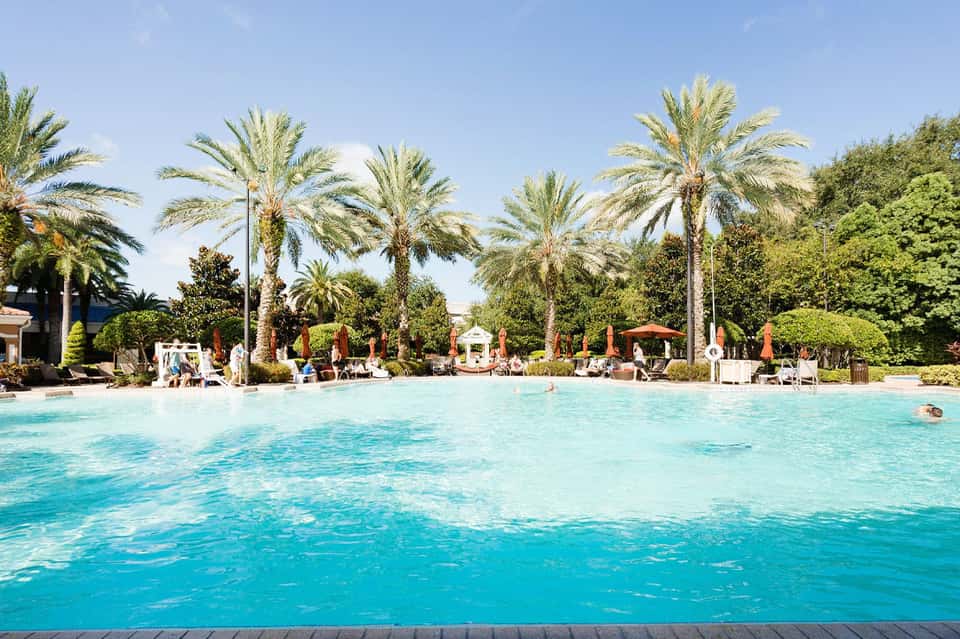 Lagoon-style pool surrounded by palm trees and resort landscaping with swimmers