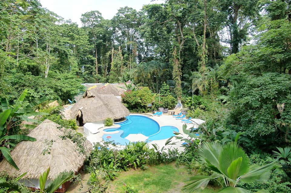 Tropical resort pool surrounded by lush jungle vegetation and thatched buildings