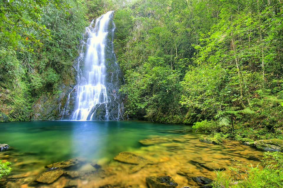 Scenic waterfall cascading into a tranquil emerald pool surrounded by lush green forest