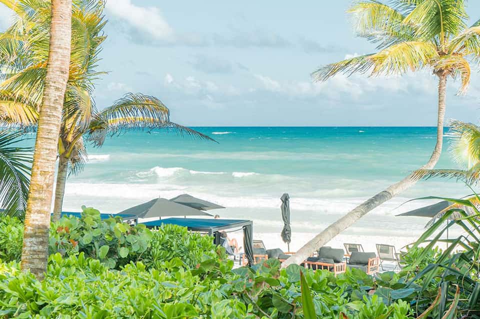 Beachfront resort with palm trees, umbrellas, and turquoise ocean view