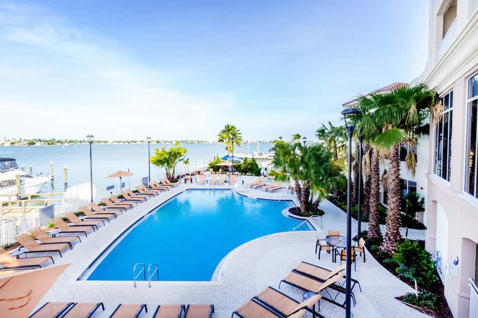 Waterfront resort pool with palm trees, lounge chairs, and bay views