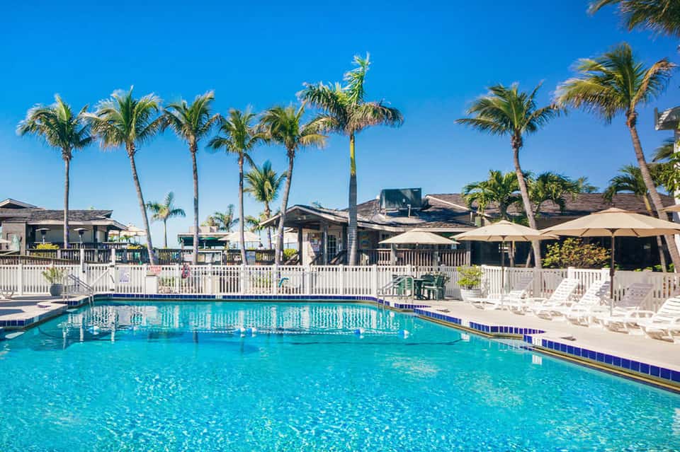 Resort pool with turquoise water, palm trees, white umbrellas, lounge chairs, and tropical buildings