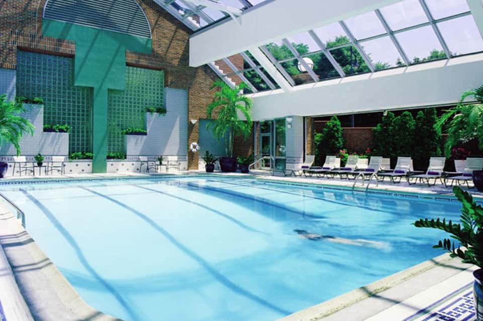 Indoor Olympic-length swimming pool with skylights, green walls, and lounge seating along sides