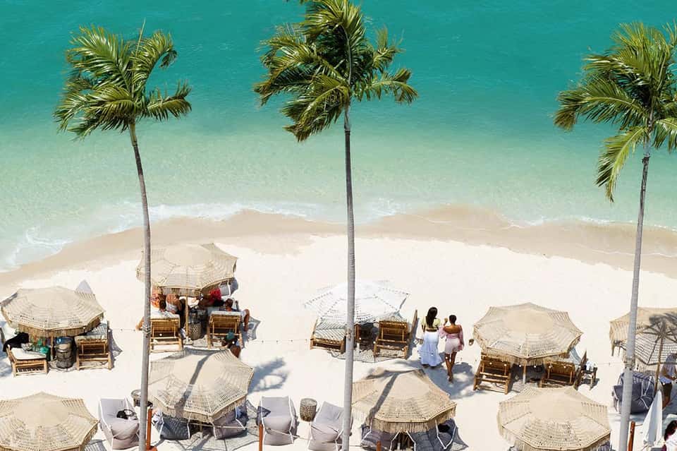 Aerial view of pristine beach with palm trees, thatched umbrellas, lounge chairs, and turquoise ocean waters