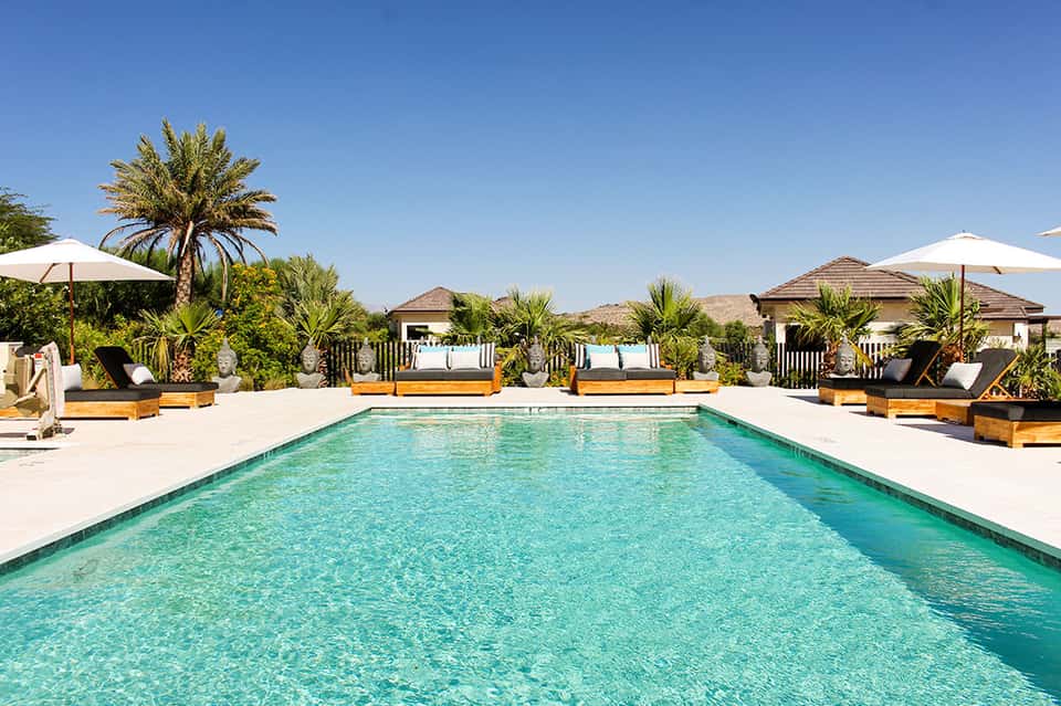 Rectangular resort pool surrounded by wooden lounge chairs, umbrellas, and desert landscaping