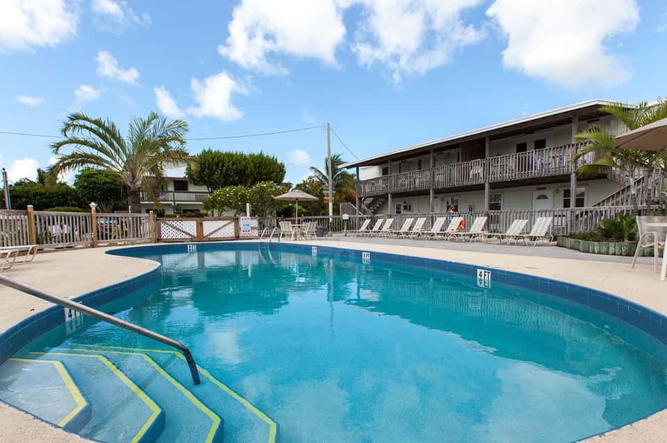 Swimming pool surrounded by lounge chairs with palm trees and residential building