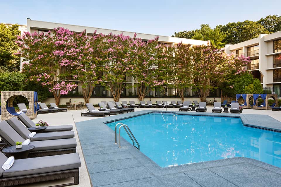 Resort pool with lounge chairs, blooming pink magnolia tree backdrop, and modern architecture