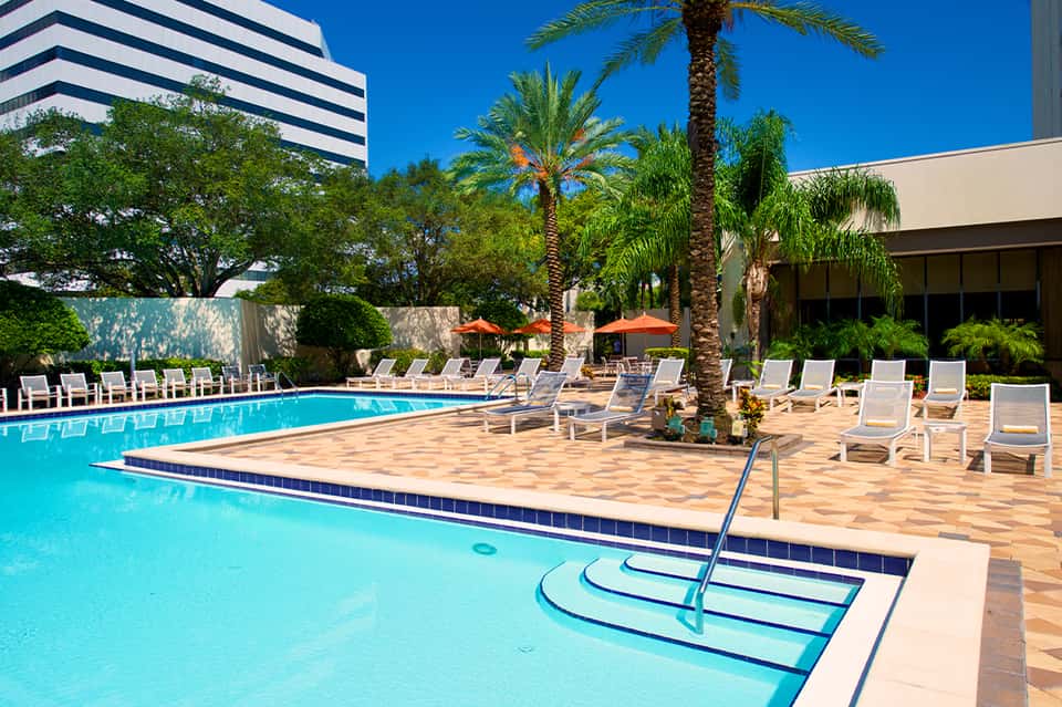 Resort swimming pool with shallow end, lounge chairs, palm trees, and clear blue sky